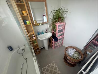 Picture 11
